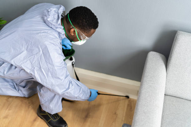 Best Bed Bug Extermination  in New Market, AL